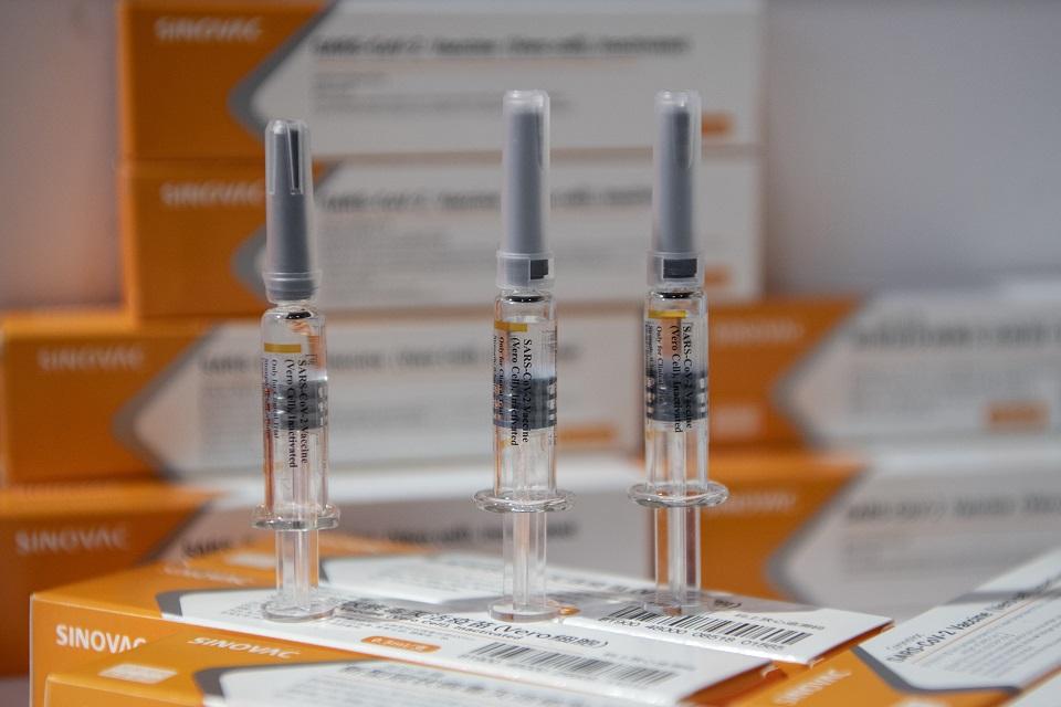 1M doses of Sinovac COVID-19 vaccine paid for by gov't ...