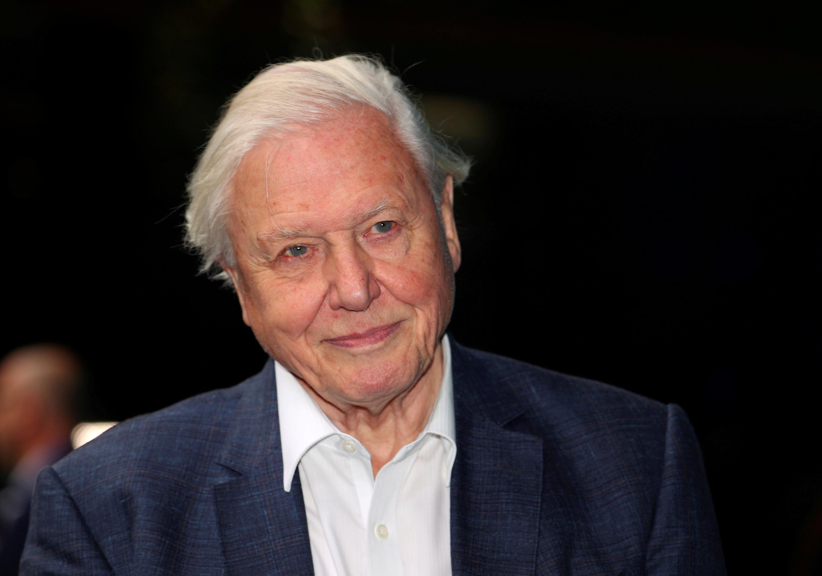 Attenborough, WHO, Tsikhanouskaya di antara nominasi untuk Hadiah Nobel Perdamaian GMA News Online