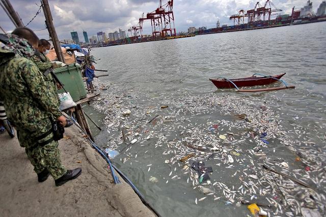 DENR exec sees possible sabotage in Manila Bay fish kill