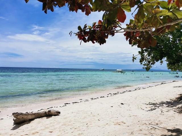 Bohol will open doors to local tourists by November 15 —Yap