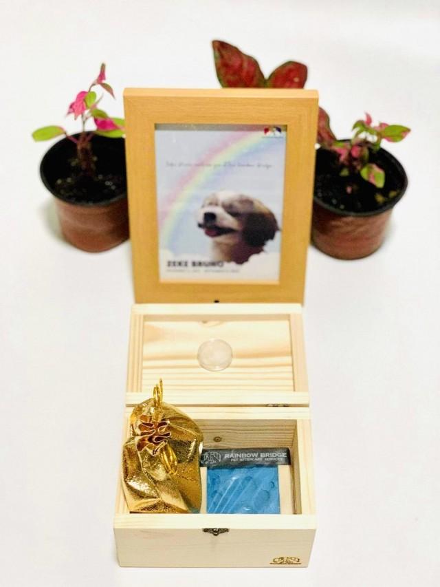 Rainbow bridge pet deals aftercare services price