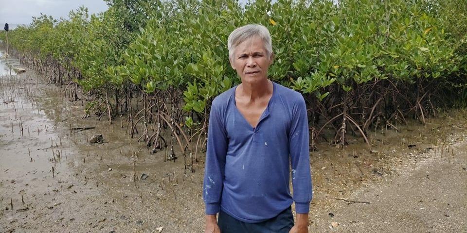 Leyte Man Plants 10000 Mangroves To Protect His Home From Storm Surge