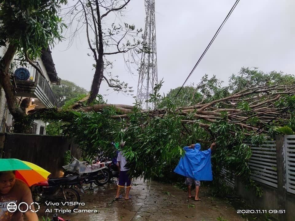 Ulysses topples trees, electric posts, causes power outage in Camarines Norte