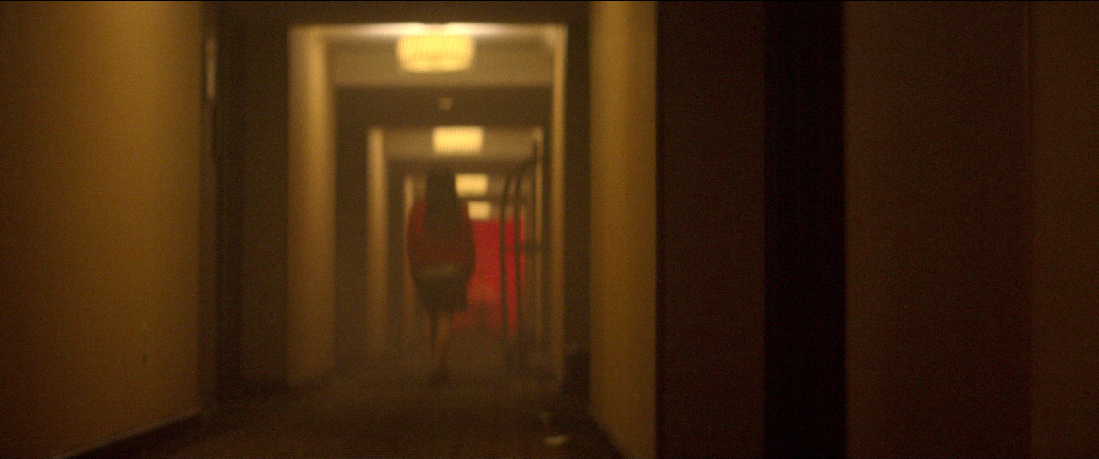 You can now get to the bottom of 'The Vanishing at the Cecil Hotel' with new Netflix documentary