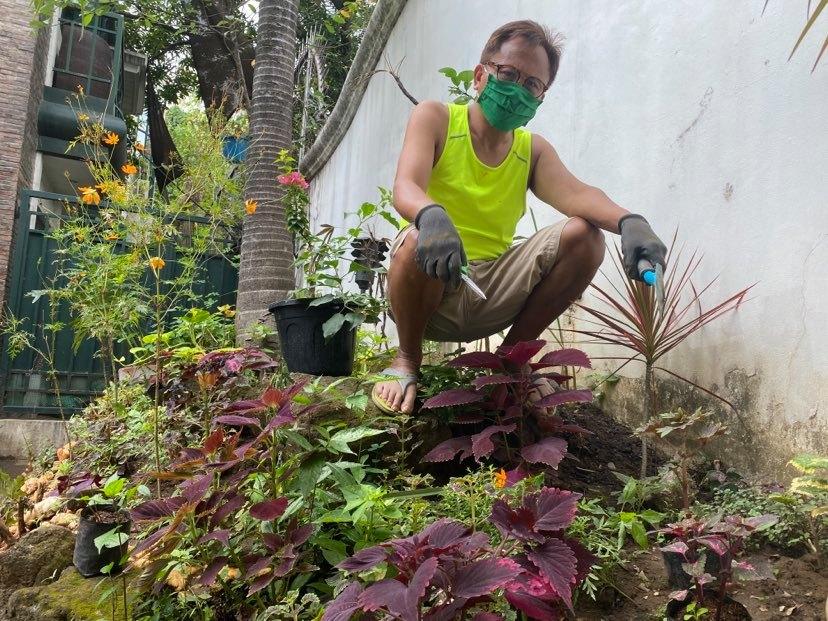 Howie Severino is a certified plantito.