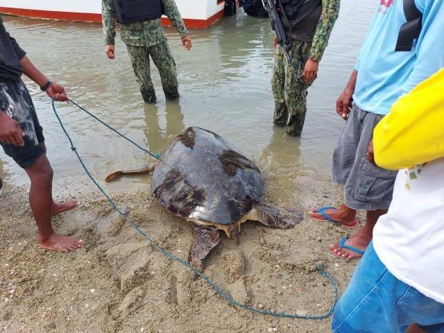 Photos courtesy of Tagkawayan LGU