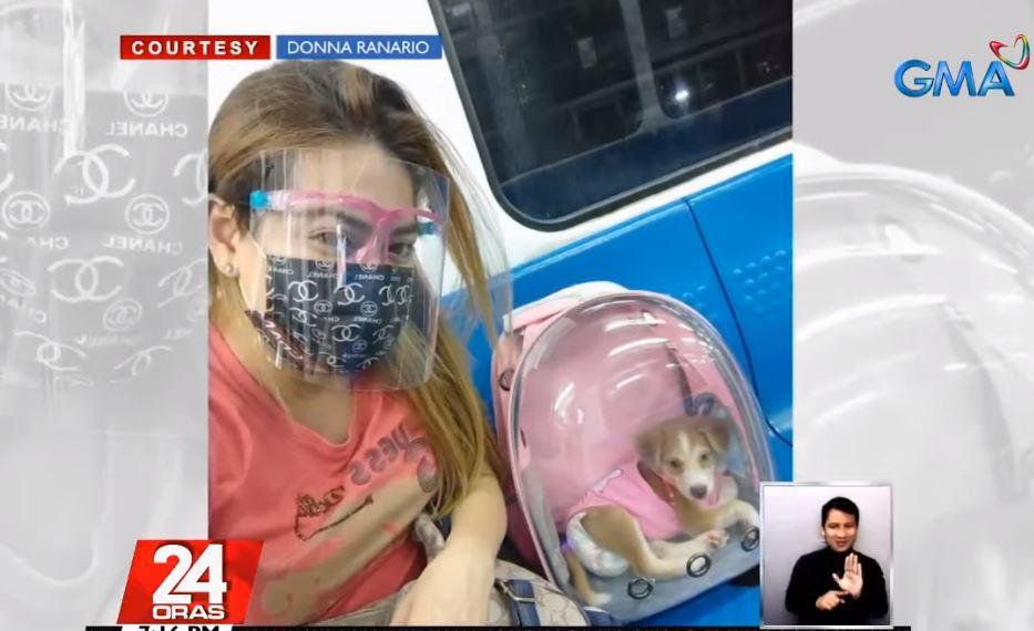 Do they have to pay? Pets now allowed on MRT3 GMA News Online