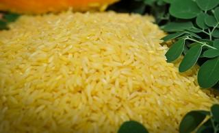 GOLDEN_RICE | Tracking | GMA News Online