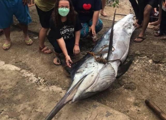 Photos courtesy of Amelia Ogayon