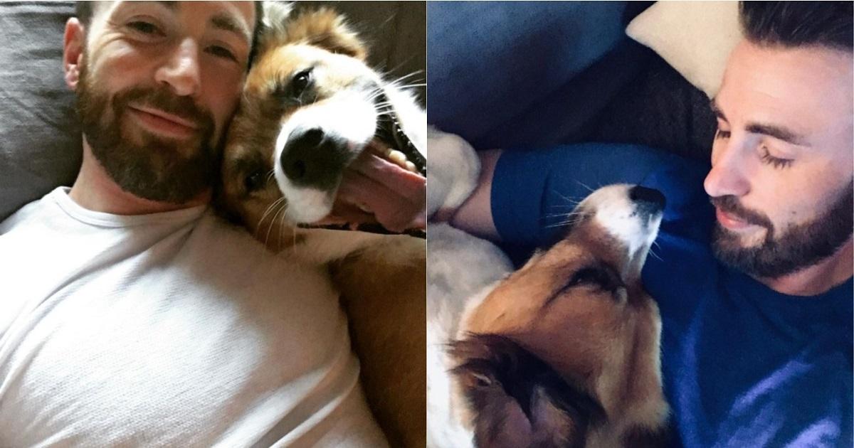Chris Evans shares adorable video of how his dog 'talks' to him | GMA News  Online