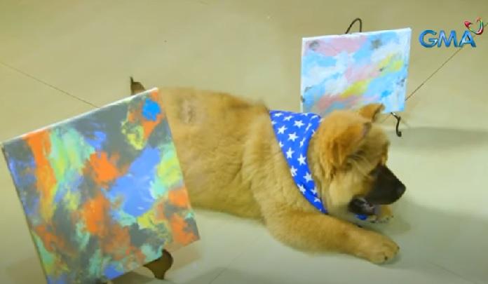 Alagang aso, puwedeng maging 'painter'? | Balitambayan