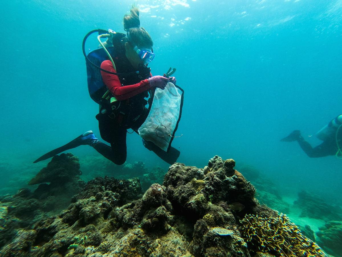 Divers clear plastic waste from corals in Batangas for World Cleanup Day