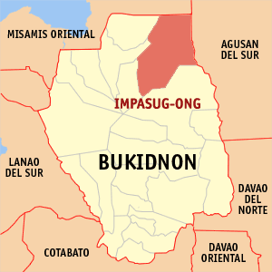 Terduga pemimpin NPA, anggota tewas dalam bentrokan Bukidnon —militer GMA News Online