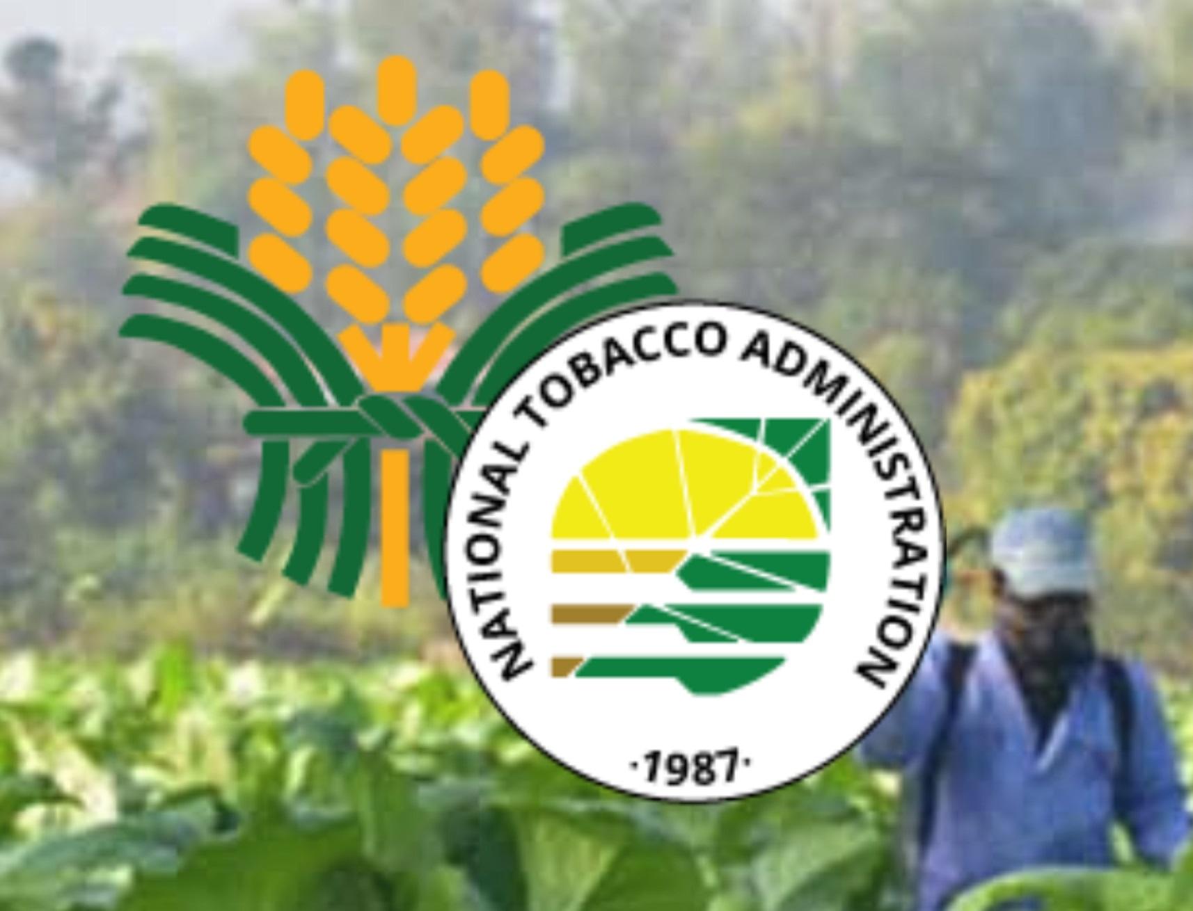 The National Tobacco Administration is ready to distribute the P100 million crop production grant to qualified tobacco farmers nationwide.