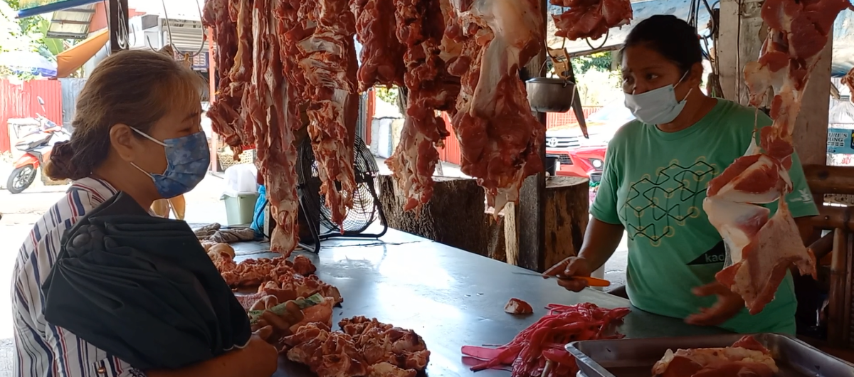 Demam babi Afrika dilaporkan di 7 desa di M’lang, Cotabato