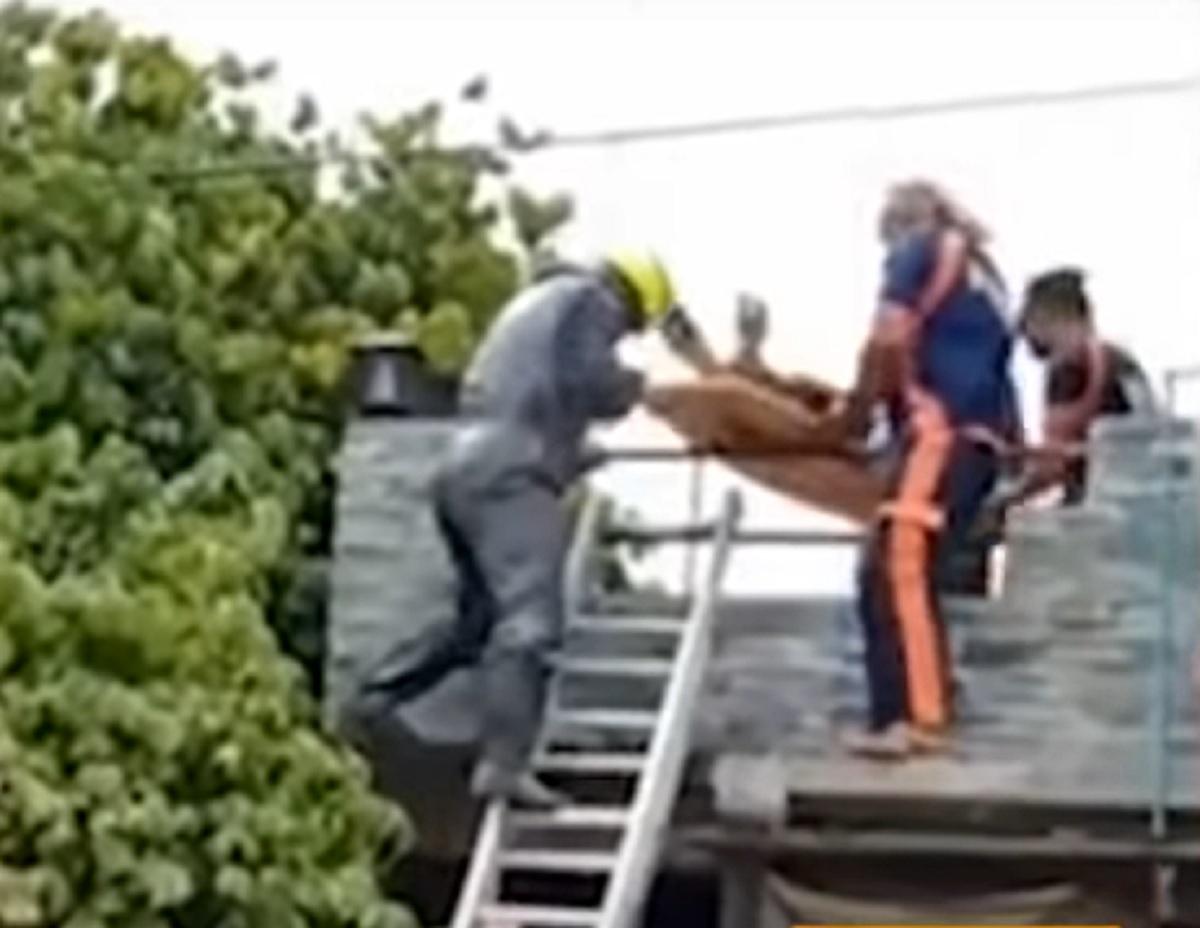 Mantan petinju, tewas setelah tersengat listrik di Davao del Sur