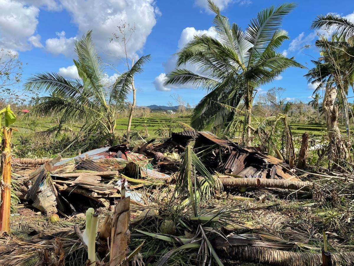 Typhoon Odette agricultural damage soars to P2.2 billion