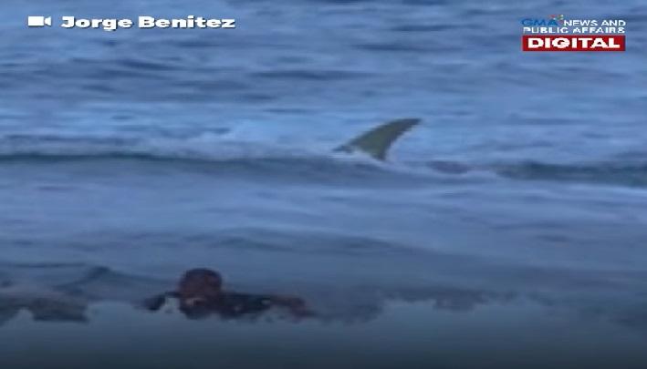 Peselancar di laut, dikejutkan oleh kemunculan hiu yang tiba-tiba di Puerto Rico