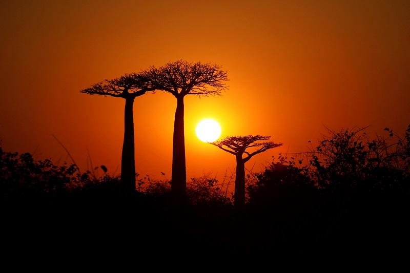 The Sun may not engulf Earth after all, scientists say