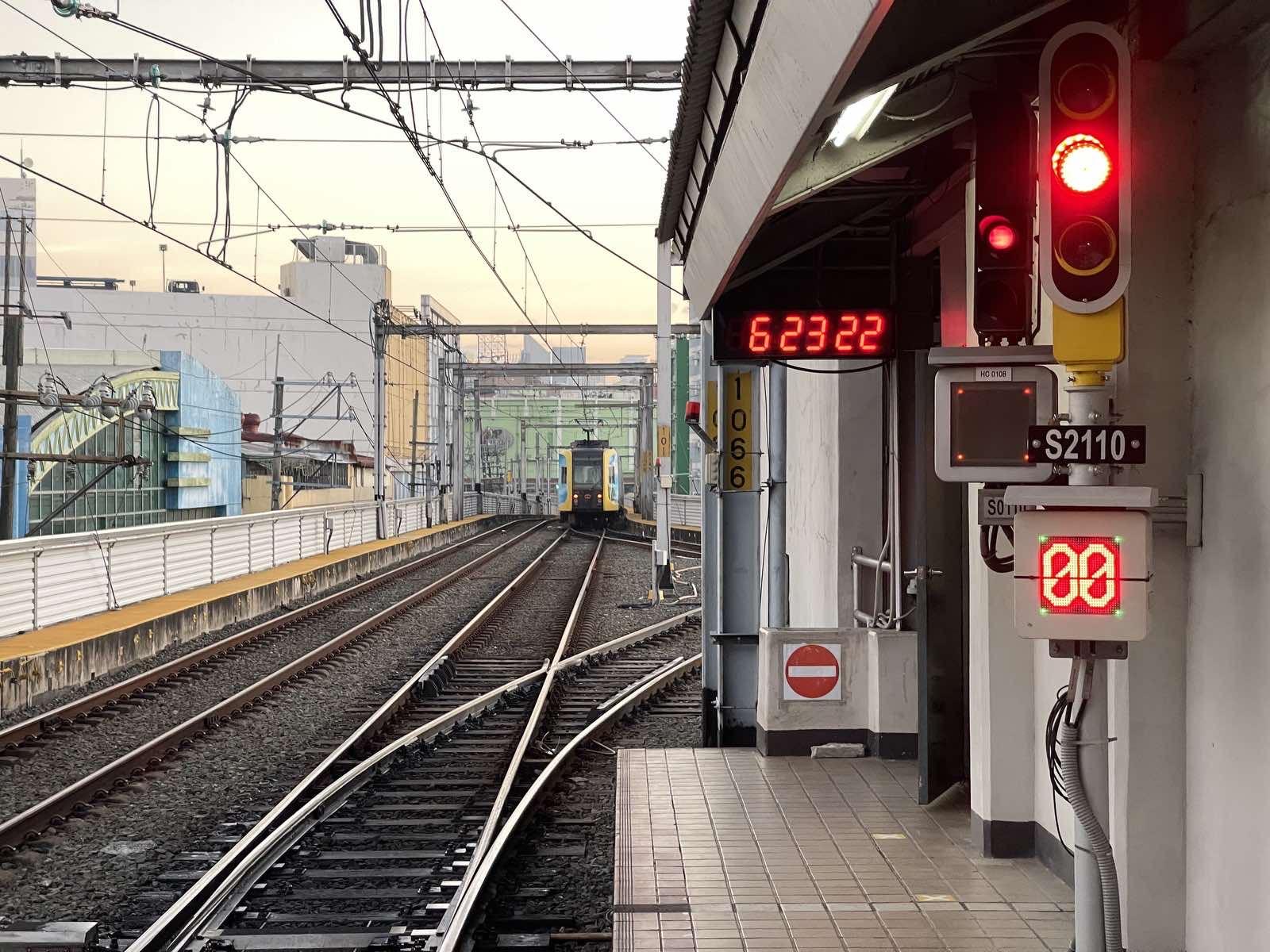 Fallen tree cuts short LRT-1 trip