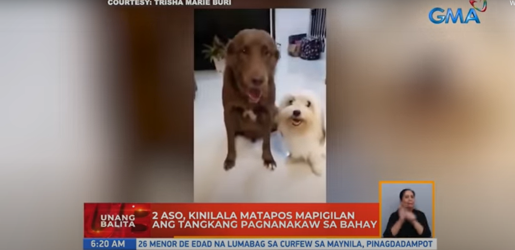 2 Aso, Kinilala Sa Pagpigil Ng Tangkang Pagnanakaw Sa Bahay Ng Kanilang ...