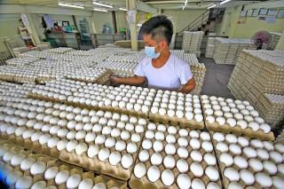 PH experiencing oversupply of egg &mdash;PEBA