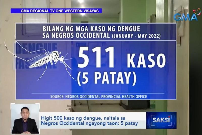 Lebih dari 500 kasus demam berdarah di Negros Occidental, kata pejabat kesehatan GMA News Online