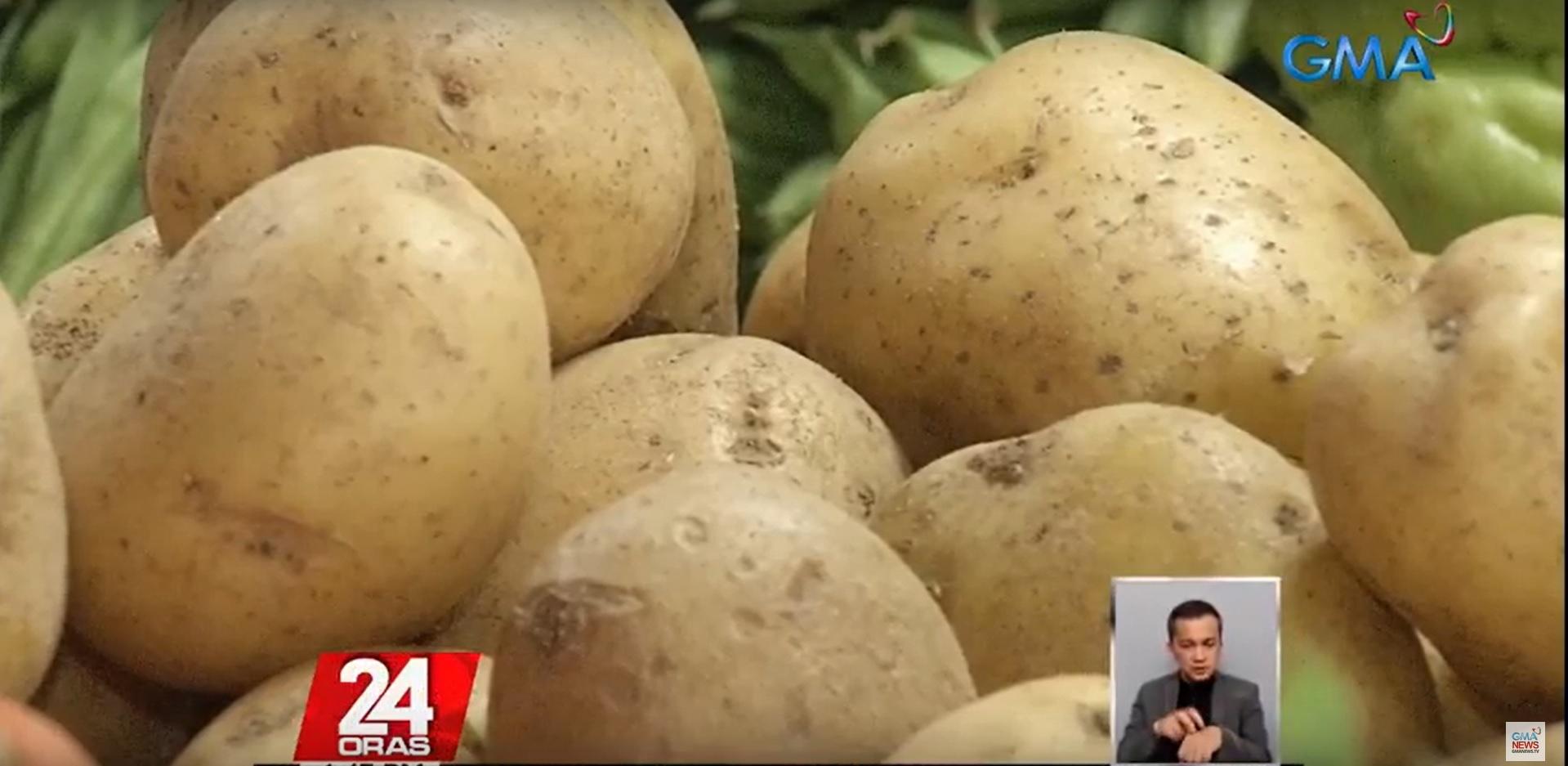 Agriculture Department confirms global potato shortage GMA News Online