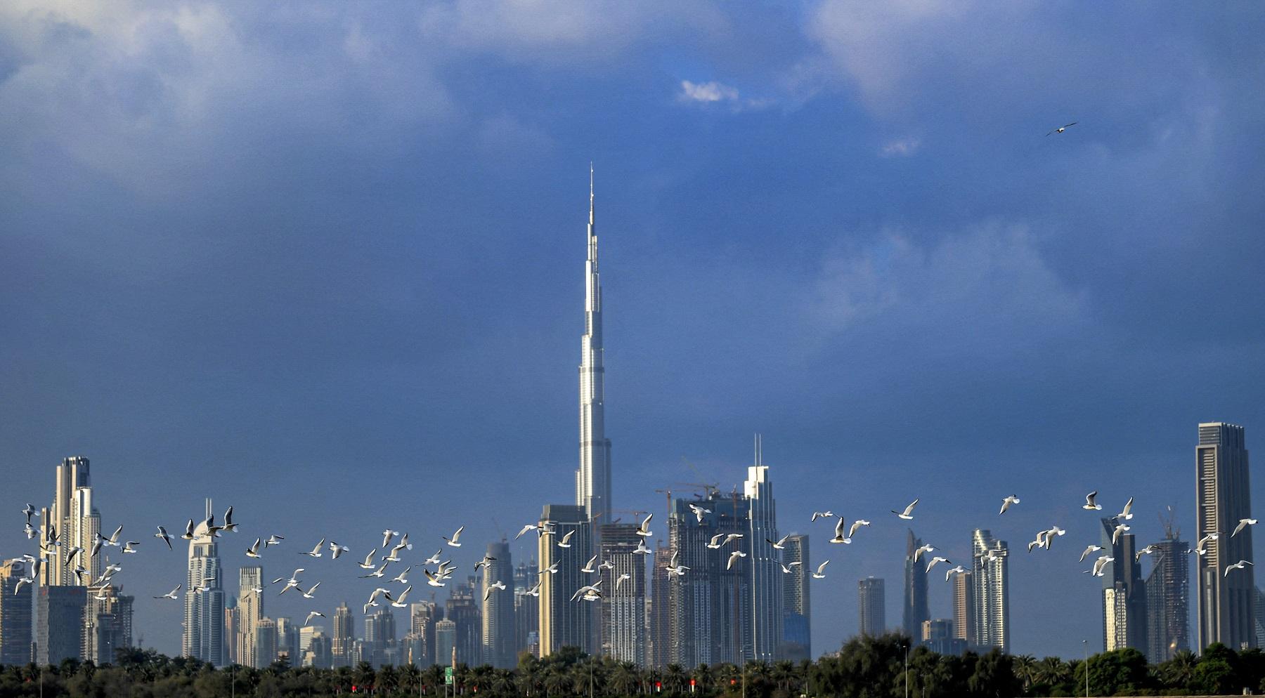 Dubai sets up Dubai Investment Fund to boost financial stability