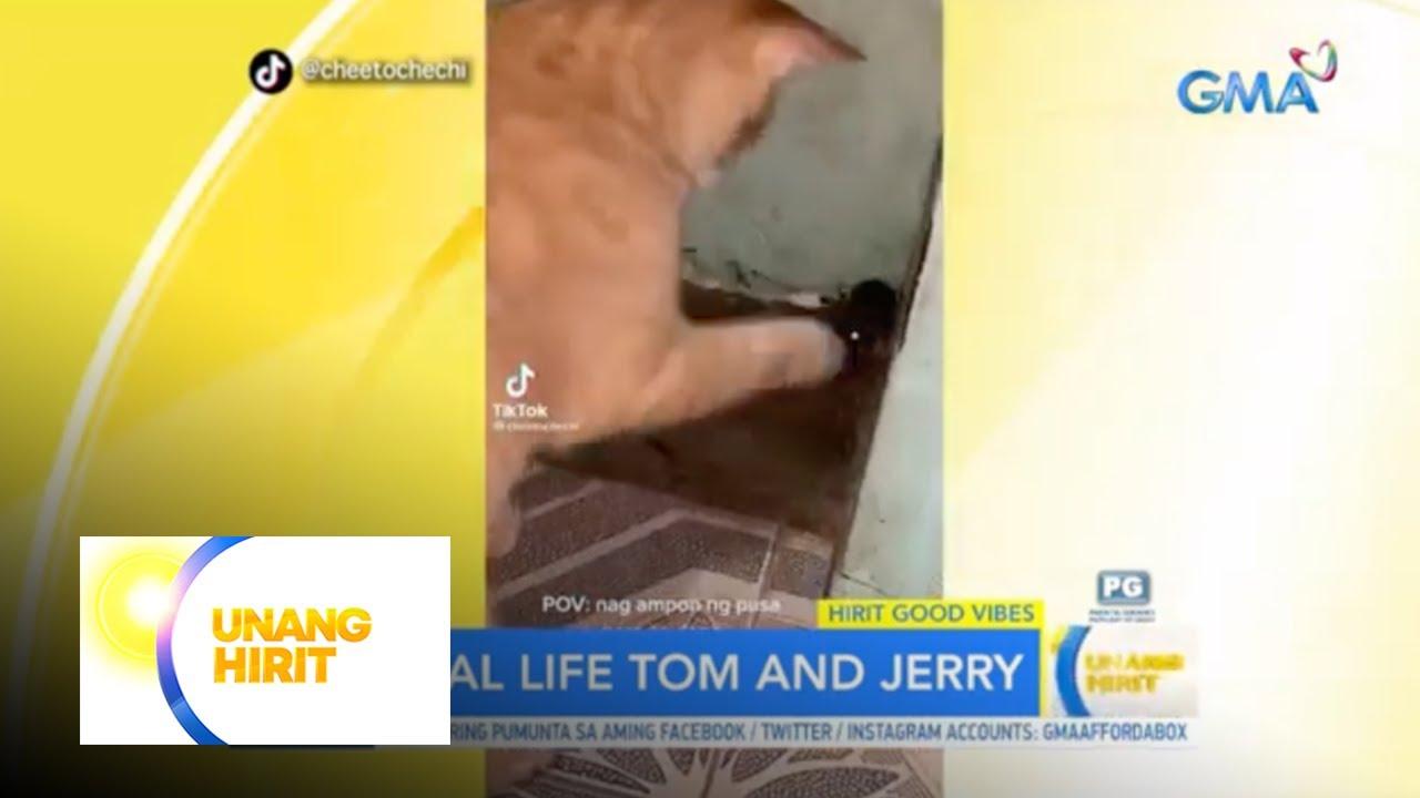 ‘Tom and Jerry’ kehidupan nyata ada di Filipina dan tentu saja ada di TikTok │ GMA News Online