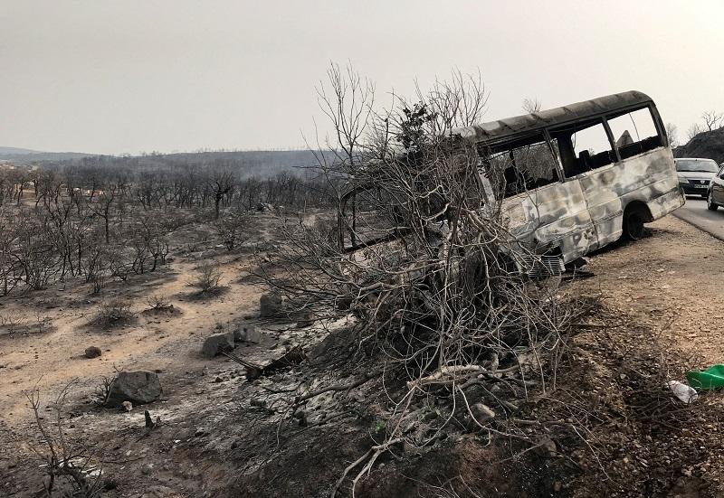 Korban tewas kebakaran hutan Aljazair naik menjadi 37