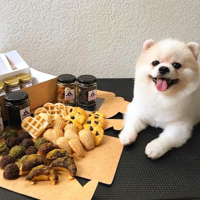 Photo courtesy of I Cha Bingsu Dessert Cafe