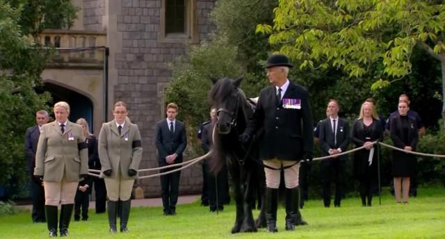 A groom holds the reins of the Queen's pony Emma at Windsor Castle Sept. 19, 2022. Reuters video