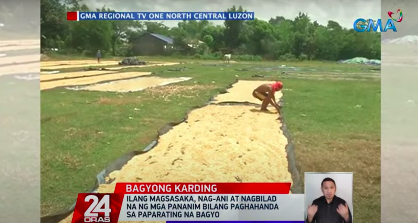 Petani di Cagayan, Isabela panen lebih awal untuk mengantisipasi Karding GMA News Online