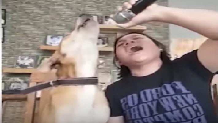 Bisakah anjing benar-benar bernyanyi seperti tuannya?
