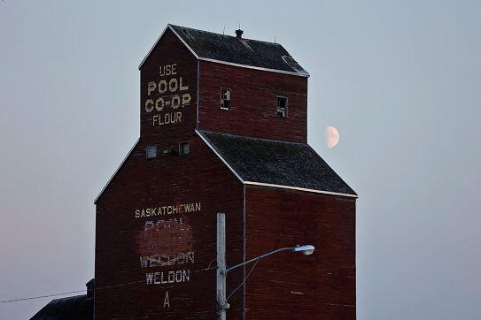 Mother of two, widower aged 77 among those killed in Canada's mass stabbing