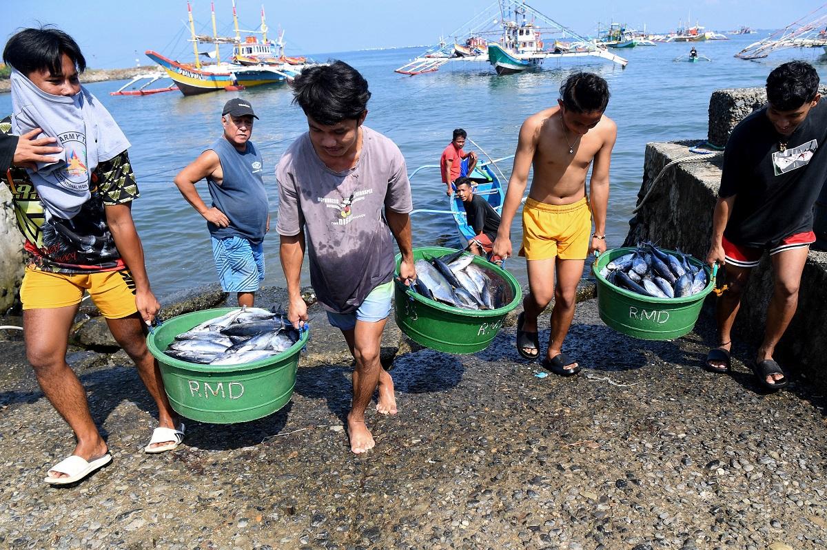 Sur cette photo prise le 20 août 2022, l'équipage décharge des seaux de poisson du "mère" bateau de pêche peu après son arrivée dans le village de Cato dans la ville d'Infante, dans la province de Pangasinan, après une expédition de pêche en mer de Chine méridionale.  Ted Aljibe / AFP