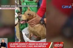 Authorities rescue 11 dogs from dog-meat trader in Bulacan