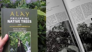 ALAY_PHILIPPINE_NATIVE_TREES | Tracking | GMA News Online
