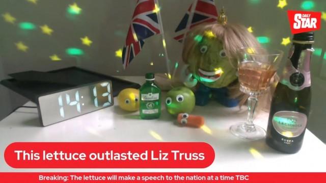 Just weeks after Liz Truss became prime minister, Britons were already calling for her removal, cheekily suggesting she would not outlast a head of lettuce that was being monitored. Truss resigned before the lettuce went bad.