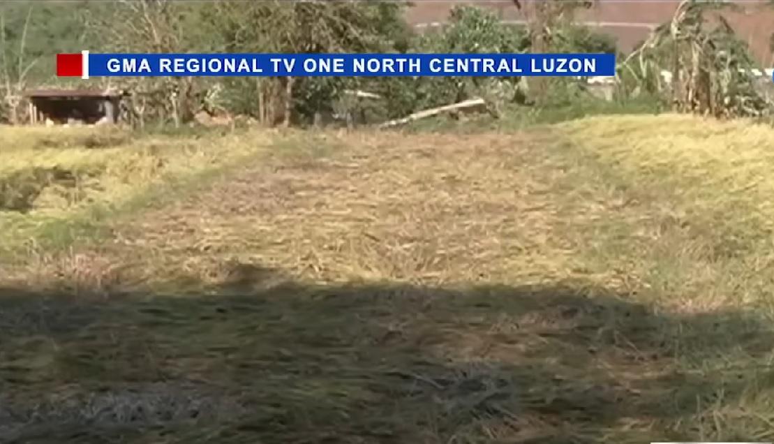 Agri damage due to Maymay, Neneng estimated at P355.63M