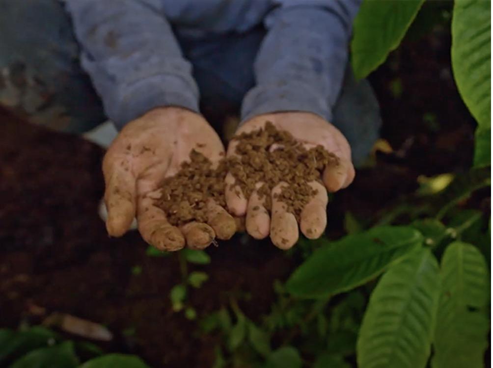 Brewing a sustainable coffee future 