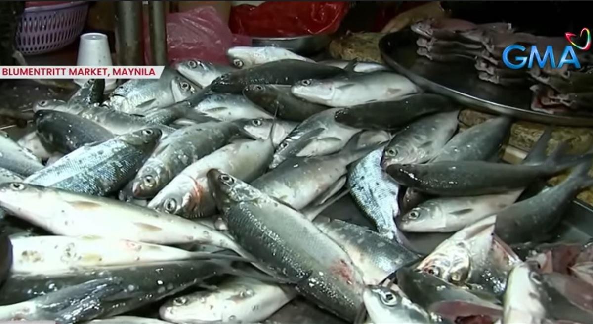 Bangus Fish Price In The Philippines | informacionpublica.svet.gob.gt