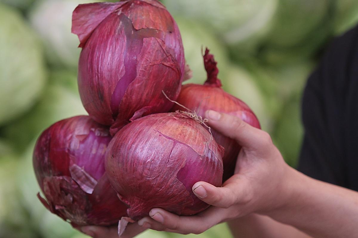 PCC fines onion importers a record P1.76-billion for alleged cartel behavior