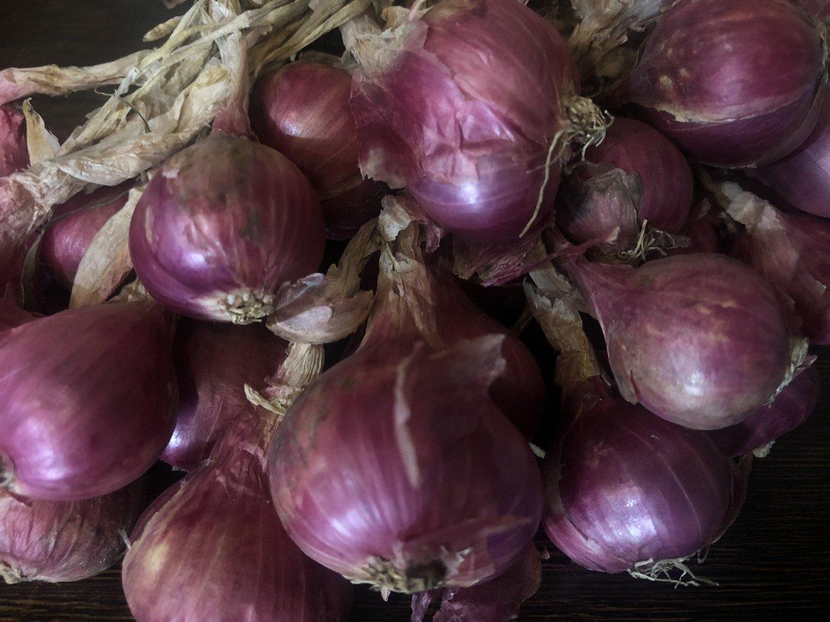 Onion prices may drop P100-P150 per kilo amid importation —DA exec