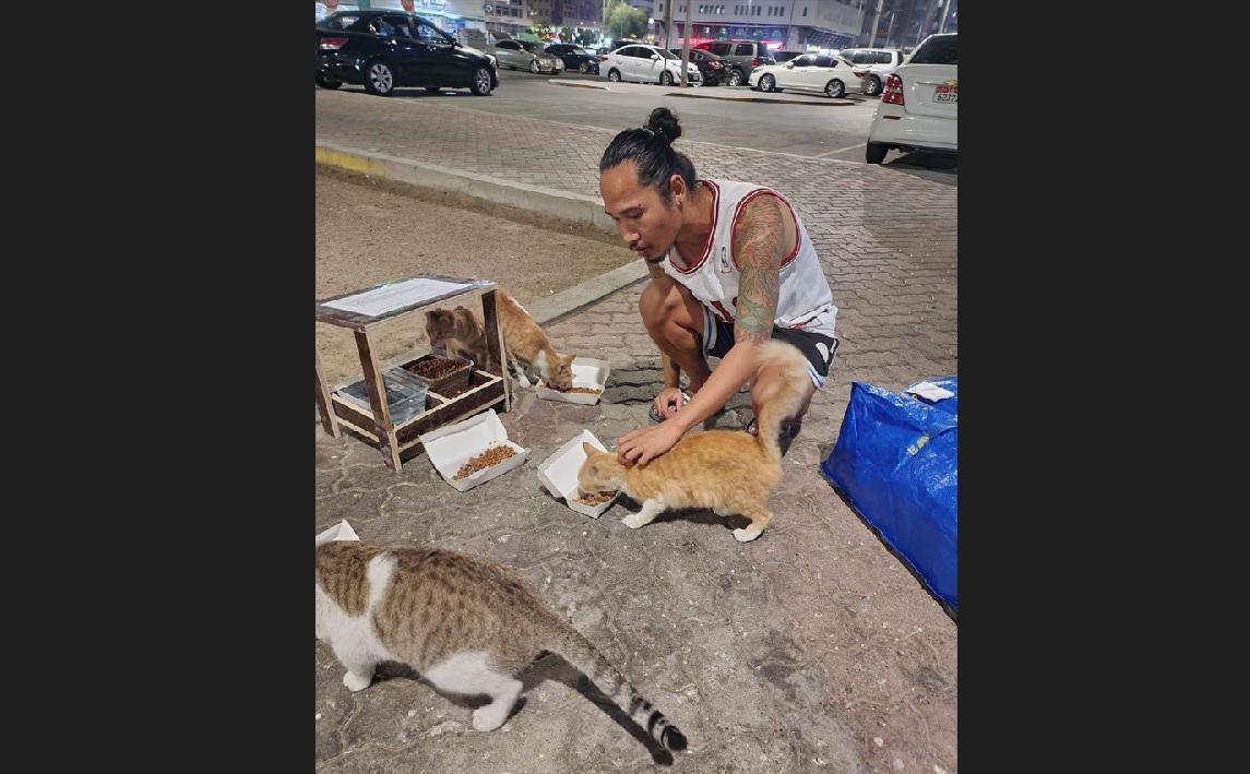 UAE OFW who used to be a mental rehab worker turns to caring for stray cats