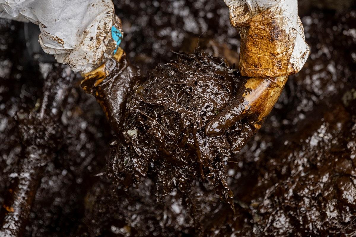 Oil spill committee wants gov’t to claim IOPC by January 2024