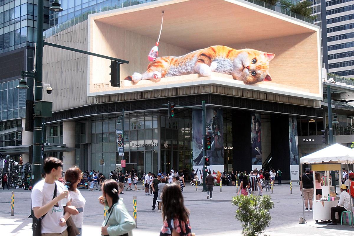 3d-billboard-cat-enchants-bgc-visitors-photos-gma-news-online