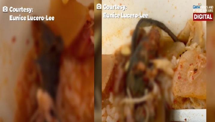 In der bestellten Suppe eines Restaurants in New York wurde angeblich eine tote Ratte gefunden;  resto bestritt den Vorwurf