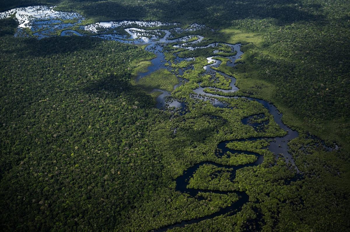 Deforestation in Brazil's Amazon rises in March thumbnail